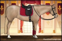 Horse Color:Liver Chestnut Pearl