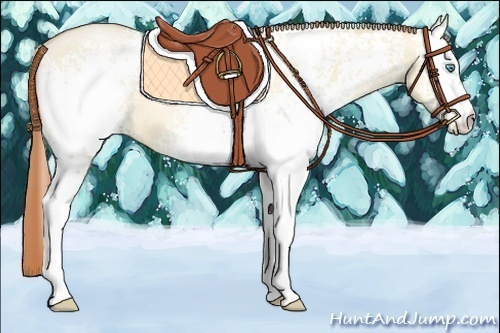Horse Color:White Spotted Buckskin Pearl Dun 