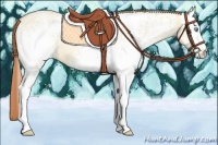 Horse Color:White Spotted Buckskin Pearl Dun