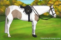 Horse Color:Classic Champagne Splash Tobiano 