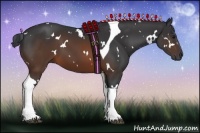 Horse Color:White Spotted Brown Tobiano 