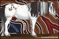 Horse Color:White Spotted Bay Splash Appaloosa