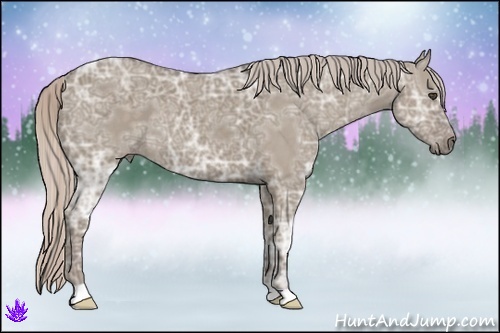 Horse Color:Silver Grullo Ice 
