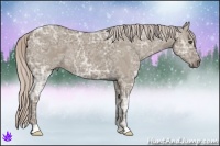 Horse Color:Silver Grullo Ice 