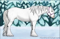 Horse Color:Silver Smoky Black Splash Appaloosa