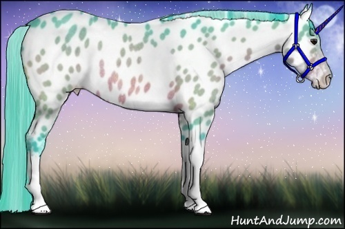 Horse Color:Watercolor Bay Appaloosa Rabicano 