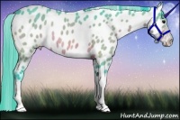 Horse Color:Watercolor Bay Appaloosa Rabicano 