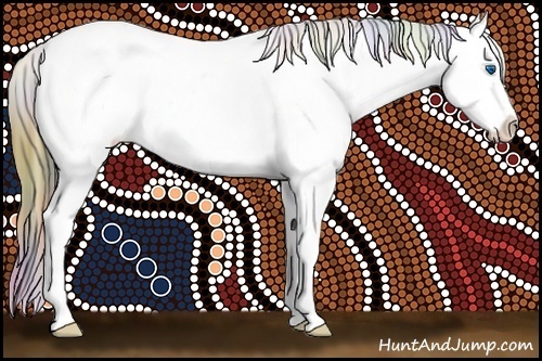 Horse Color:Nacre Grullo Splash Appaloosa 