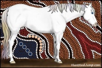 Horse Color:Nacre Grullo Splash Appaloosa