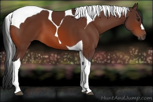 Horse Color:Bay Tobiano