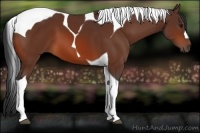 Horse Color:Bay Tobiano 