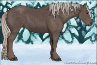 Horse Color:Silver Black 