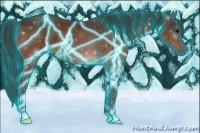 Horse Color:Thunderstruck Bay 