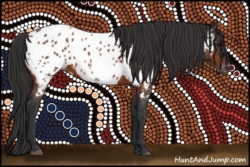 Horse Color:Bay Near Leopard 