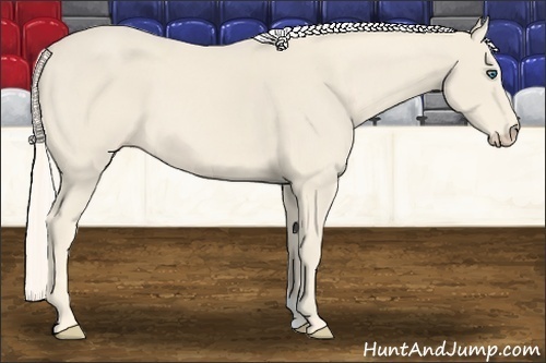 Horse Color:Cremello 