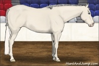 Horse Color:Cremello