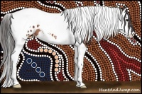 Horse Color:Bay Splash Tobiano Blanket