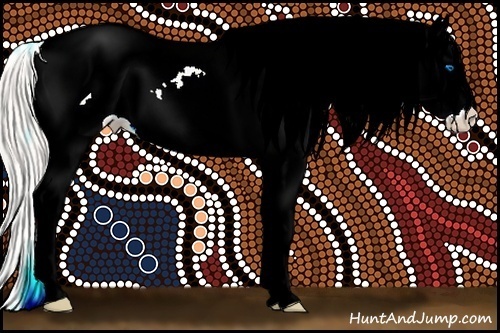 Horse Color:Silver Buckskin Splash Tobiano Appaloosa 