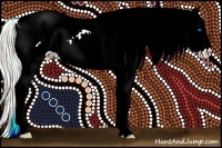 Horse Color:Silver Buckskin Splash Tobiano Appaloosa 