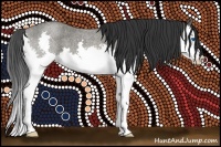 Horse Color:Buckskin Roan Splash