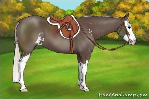 Horse Color:Silver Black Sabino Splash