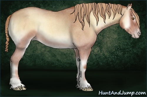 Horse Color:Gold Champagne Roan Onyx
