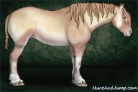 Horse Color:Gold Champagne Roan Onyx 