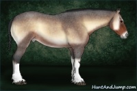 Horse Color:Bay Roan Onyx 