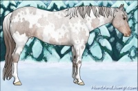 Horse Color:White Spotted Liver Chestnut Varnish 