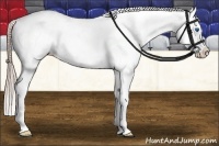 Horse Color:Chocolate Palomino Frame Varnish 