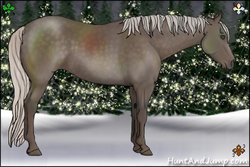 Horse Color:Silver Black 
