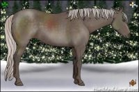 Horse Color:Silver Black 