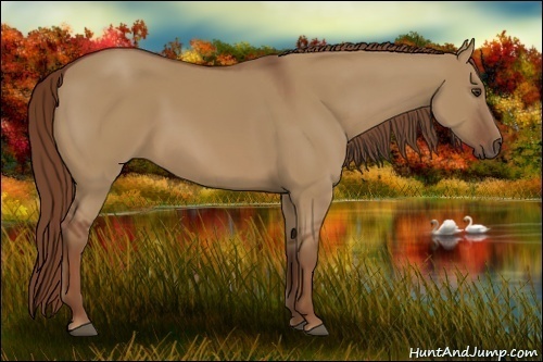 Horse Color:Red Dun