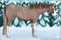 Horse Color:Red Roan Splash 