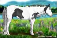 Horse Color:Black Sabino Splash Tobiano