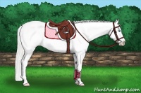 Horse Color:Silver Perlino Roan Splash Appaloosa