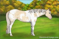 Horse Color:White Spotted Silver Amber Champagne Ice Dun Tobiano 