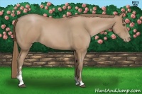 Horse Color:Black Pearl Sabino