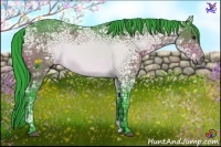 Horse Color:Watercolor Bay Ice 