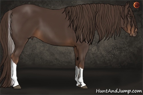 Horse Color:Liver Chestnut Tobiano 