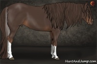 Horse Color:Liver Chestnut Tobiano 