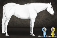 Horse Color:Gray Bay Splash