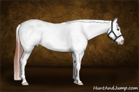 Horse Color:Brown Dun Tobiano Frame Varnish