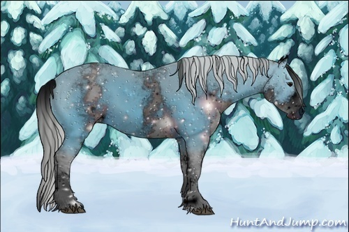 Horse Color:ERROR: UNKNOWN ANOMALY