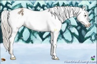 Horse Color:Chocolate Palomino Varnish