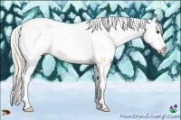 Horse Color:Chocolate Palomino Varnish Rabicano 
