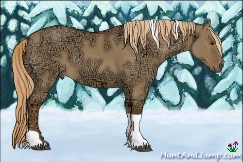 Horse Color:Red Dun Ice Tobiano 