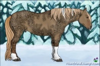 Horse Color:Red Dun Ice Tobiano