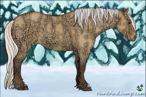 Horse Color:Silver Bay Ice Roan Dun 