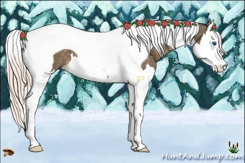 Horse Color:Chocolate Palomino Splash Tobiano